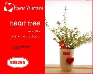 バレンタインにお花を｜「フローリスト　ババ」　（静岡県御殿場市の花キューピット加盟店 花屋）のブログ