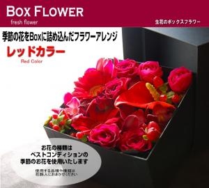 box_red