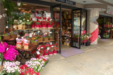 静岡県御殿場市の花屋 フローリスト ババにフラワーギフトはお任せください 当店は 安心と信頼の花キューピット加盟店です 花キューピットタウン